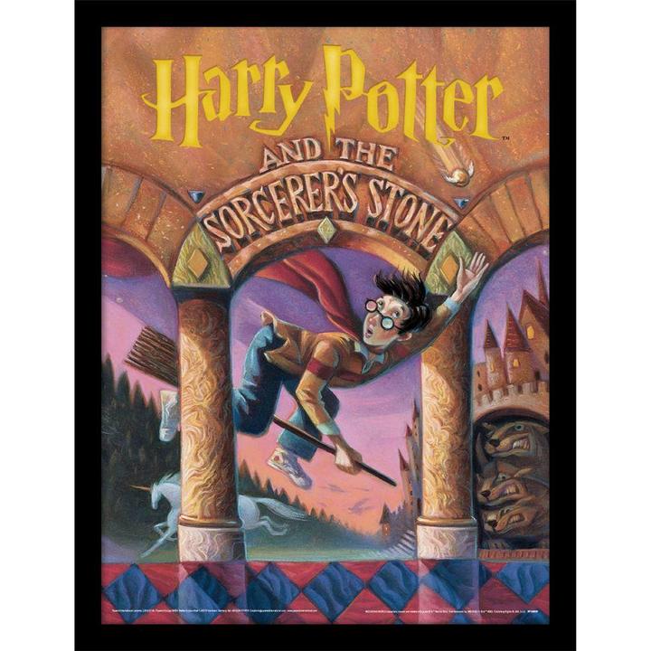 Harry Potter Book Cover Framed Poster (40 x 30 cm)