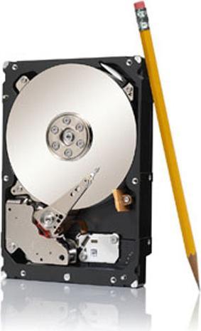 Productafbeelding Seagate 1TB 64MB 7200RPM 24x7 (1 TB, 3.5")