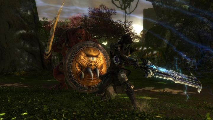Image du produit THQ Kingdoms of Amalur - Reckoning Edition définitive (PS4, IT, FR)