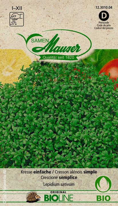 Produktbild Samen Mauser Knospe Bio Kresse (Kräutersamen)