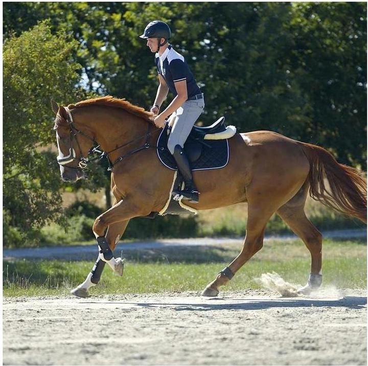 Image du produit Kavalkade Bottes d'équitation en cuir Maximus pour femmes (38)