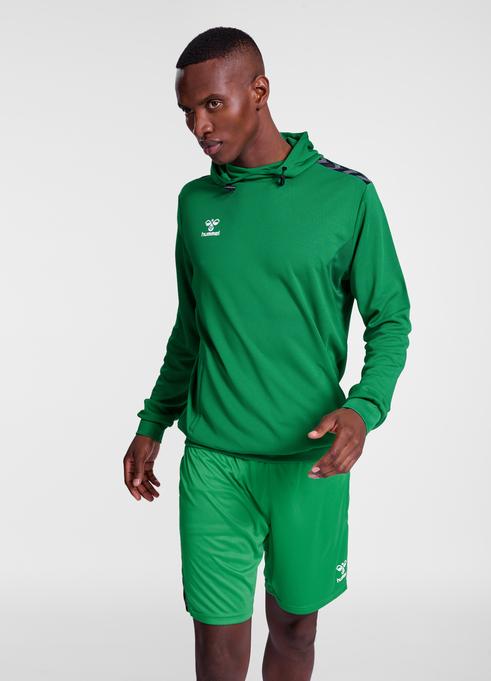 Actual product image hummel Hmlauthentic Pl Hoodie (L)