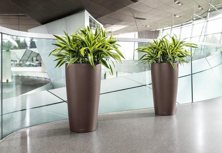 Actual product image Lechuza Planter Rondo Premium 32 (33 cm)