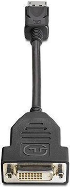 HP DisplayPort to DVI-D Adapter - Disp (DVI, 19 cm)