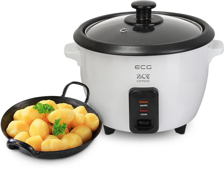 Actual product image ECG RZ11 rice cooker