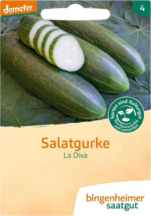 Produktbild Bingenheimer Saatgut Salatgurke La Diva