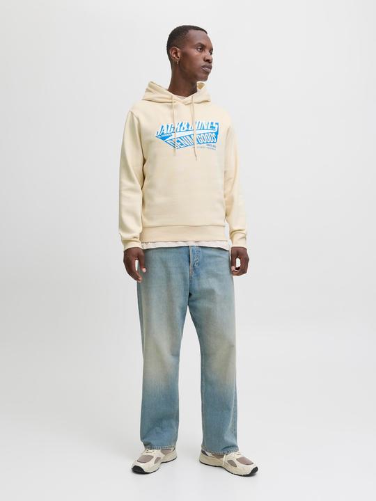 Immagine prodotto Jack & Jones JJELOGO SWEAT HOOD 2 COL 25/26 NOOS (XS)