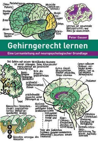 Gehirngerecht lernen (Deutsch, Peter Gasser, 2010)