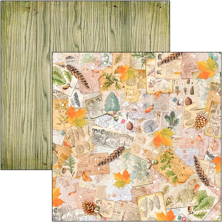 Actual product image Ciao Bella Scrapbook paper "Into the Wild", 12 sheets, 30.5 x 30.5 cm (190 g/m², 12 x)