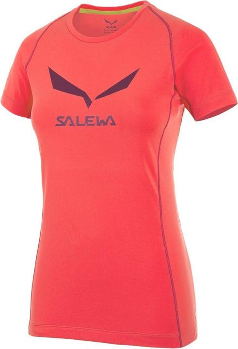 Salewa Logo Dry Tee T-Shirt