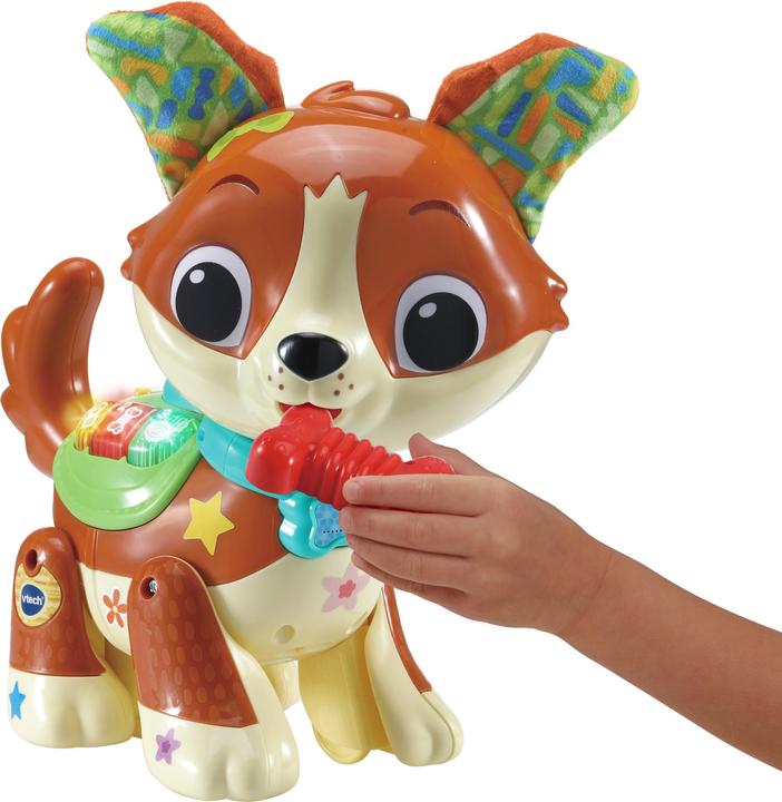 Produktbild VTech 80-552564 Lauf-mit-Mir-Hündchen Babyspielzeug, bunt (Zerrspielzeug Hund)