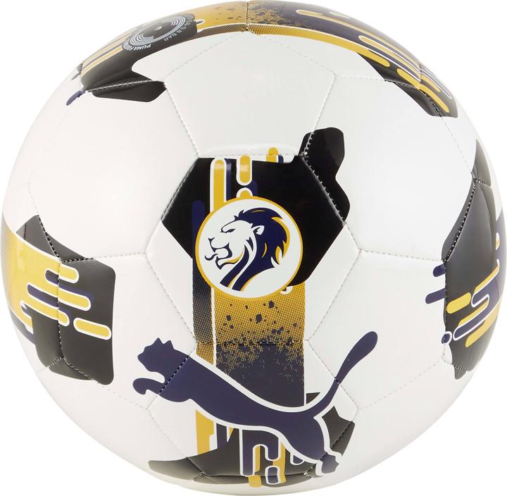 Produktbild Puma Orbita 6 SPFL 2024/25 (5)