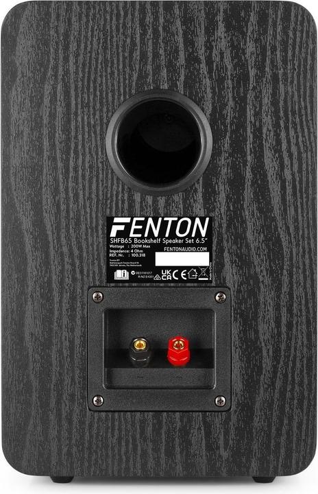 Immagine prodotto Fenton SHFB65 (1 coppia, 200 W)