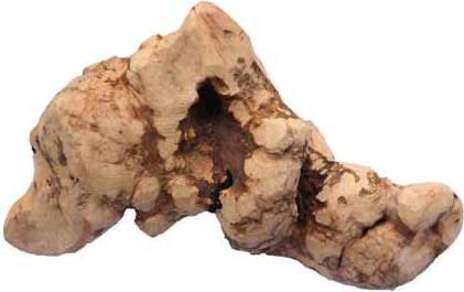 Produktbild Chewies Kauwurzel (Adult, 1 Stk., 130 g)
