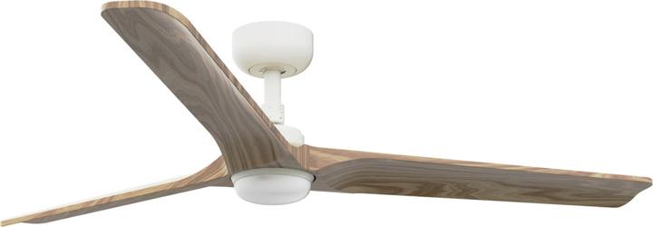 Pin, Hêtre, Blanc (boîtier), bois coloré, Pin (aile), Érable