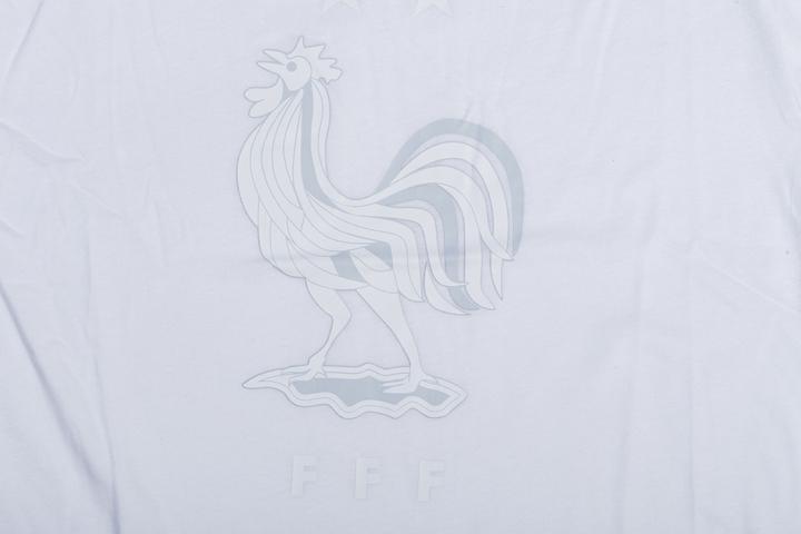 Immagine prodotto Nike Francia Tea Evergreen Crest - 2020-21 (L)