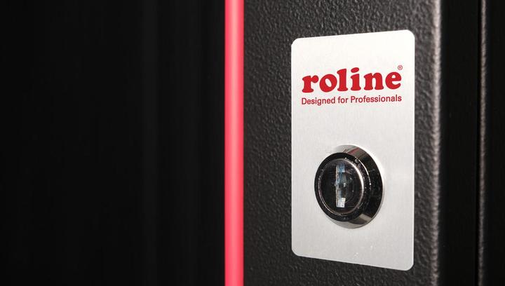Actual product image Roline 19-inch wall-mounted housing Pro 12 U (12 RU, 19 inch rack)