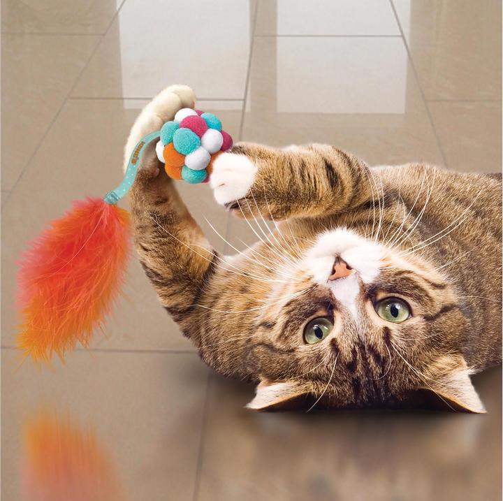 Produktbild KONG Cat Active Bubble Ball, assorties (Ballspielzeug Katze)