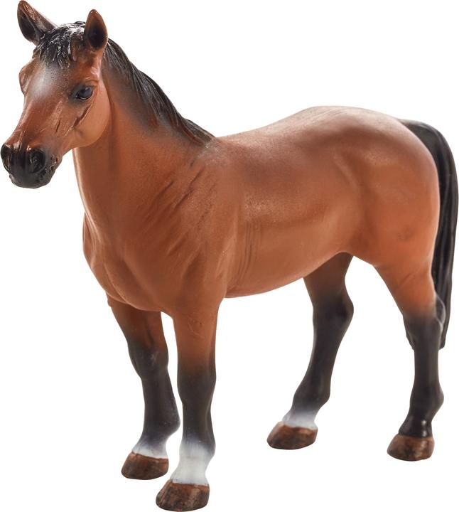 Produktbild Animal Planet Trakehner