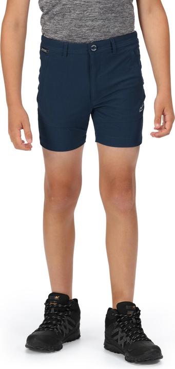 Actual product image Regatta Highton Shorts (146)