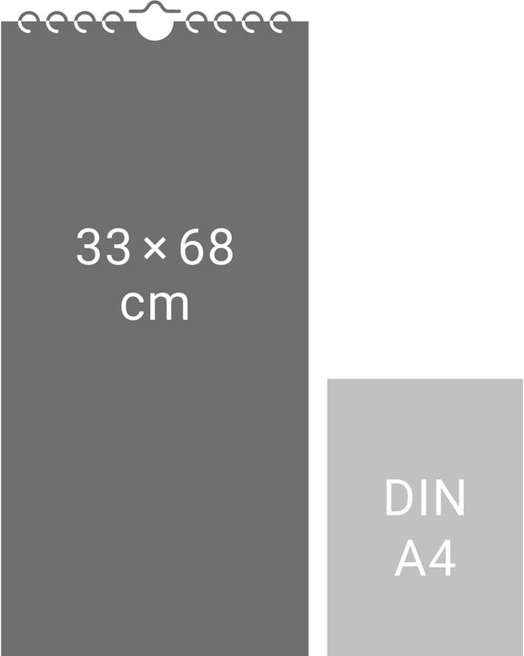 Leuchttürme Kalender 2026 (33 x 68 cm, Harter Einband, Deutsch)