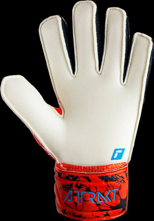 Actual product image Reusch Solid Junior -attraction (7)
