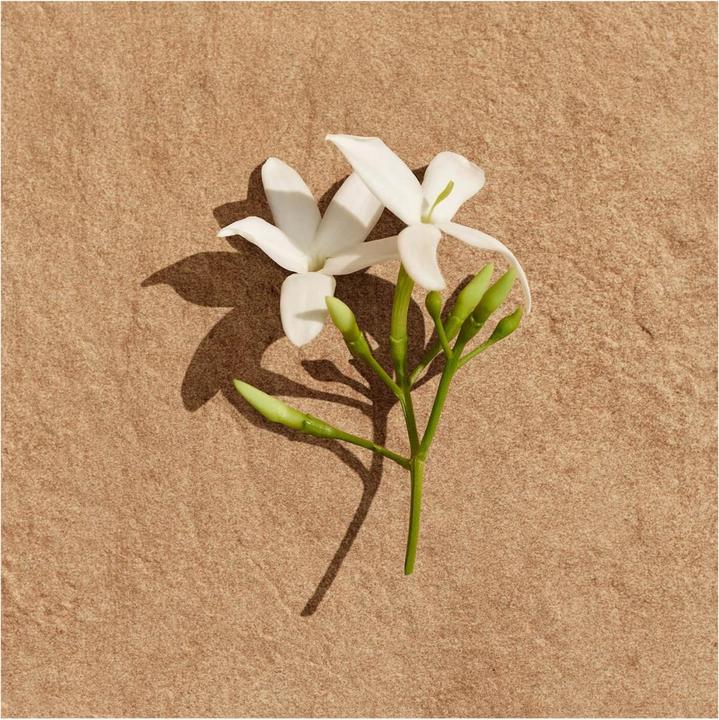 Image du produit Lacoste Pour Femme (Eau de parfum, 90 ml)