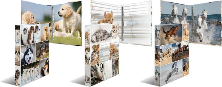 Actual product image HERMA A4 ring binder motif (A4, 35 mm, 1 Piece)