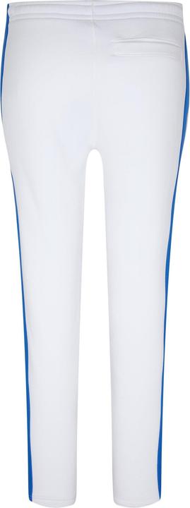 Actual product image Lacoste Mens Stripe Tracksuit Bottoms (S)