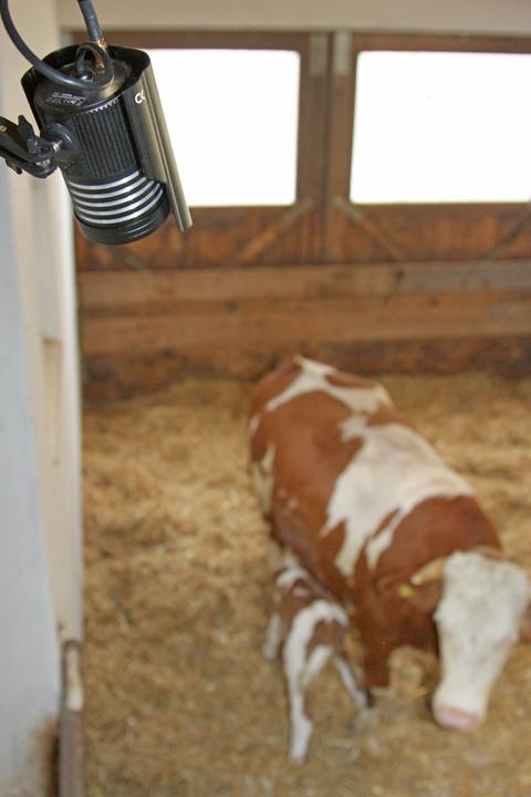Actual product image Kerbl 1085 Stable and trailer camera set 2.4 GHz