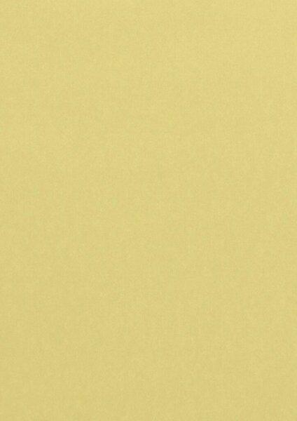 Produktbild Clairefontaine Kopierpapier Pollen A4 160g/qm 50 Blatt chamois (160 g/m², A4)