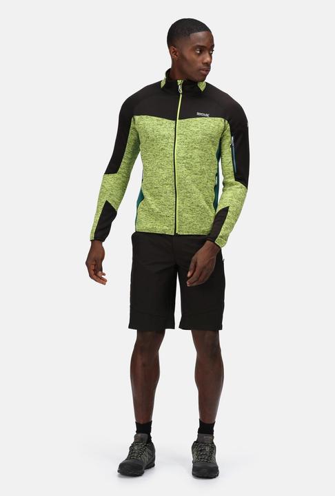 Actual product image Regatta Highton Shorts Hiking (54)