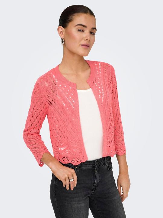 Produktbild JdY JDYSUN Strickjacke Strickjacke (L)