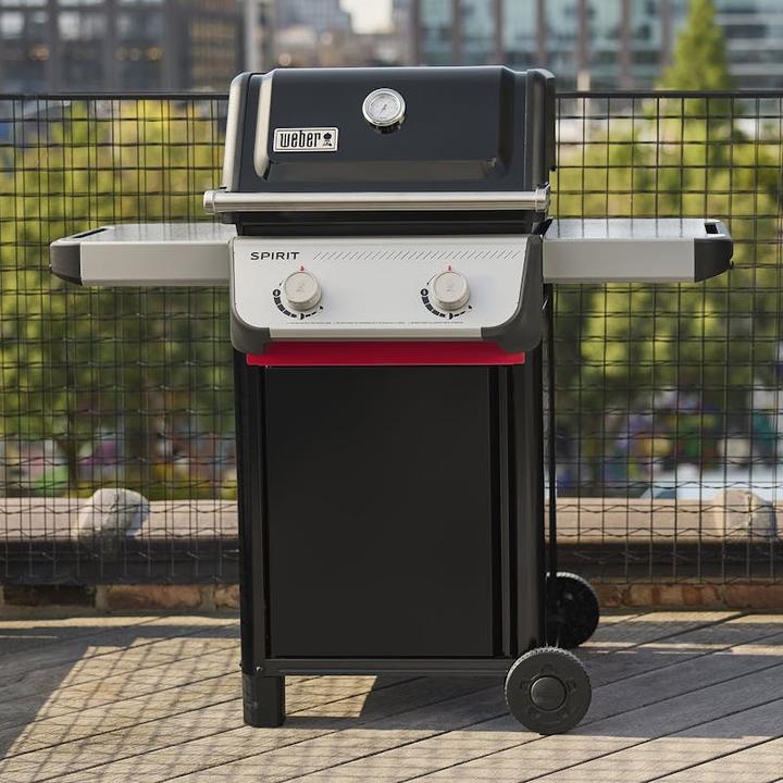 Productafbeelding Weber SPIRIT E-210 (7.80 kW)