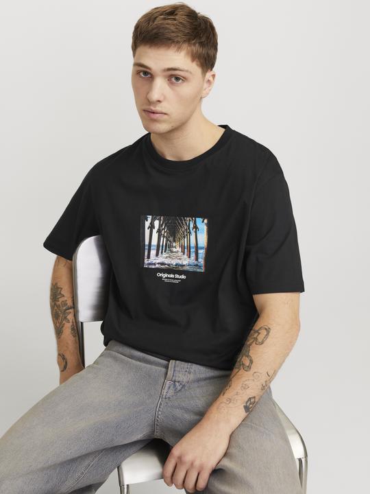 Produktbild Jack & Jones Jorvesterbro Picture Tee Ss Crew Neck Sn (M)