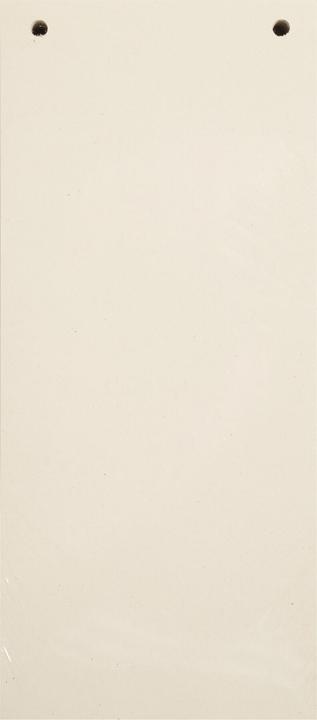 Exacompta Trennstreifen 10.5 x 24 cm, 100 Stk. - beige