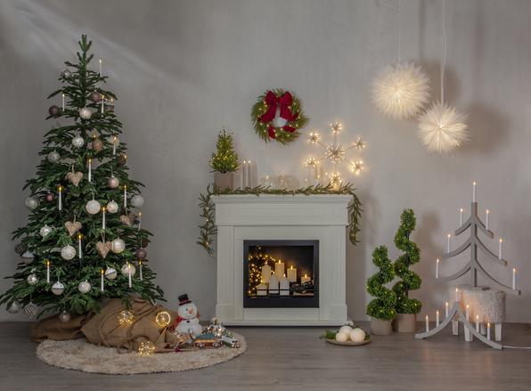 Image du produit Star Trading Thuja