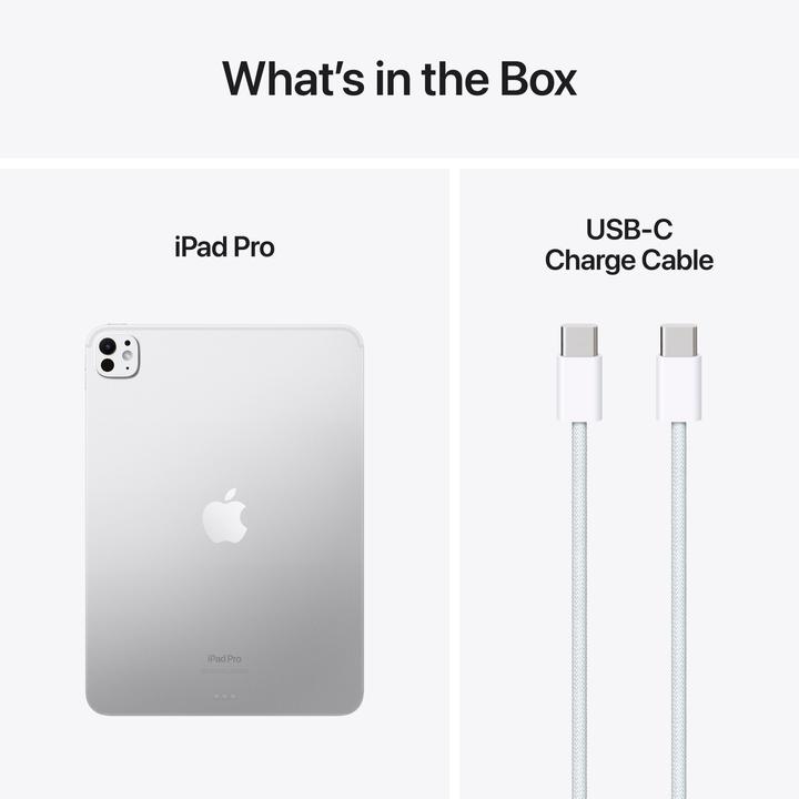 Actual product image Apple iPad Pro 11 2024 (M4) (WLAN only, 11", 1000 GB, Silver)