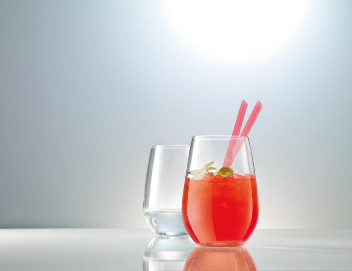 Actual product image Schott Zwiesel Vina (0.56 l, 1 x)