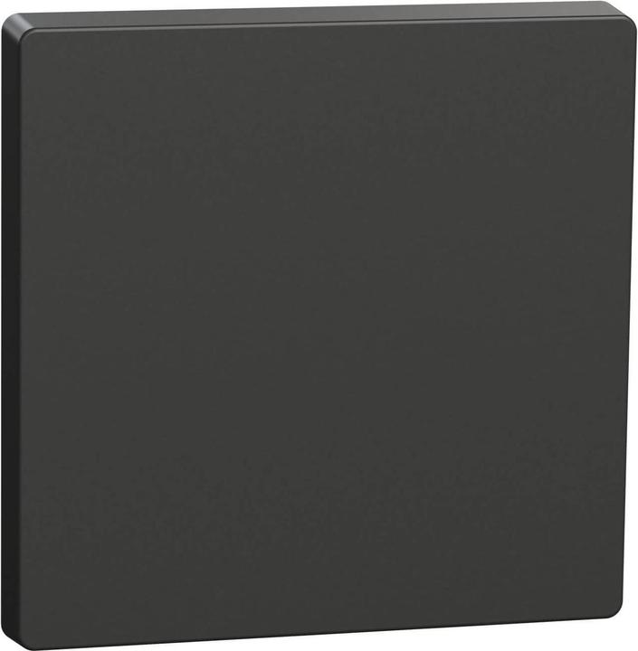 Merten Wippe Anthrazit MEG3300-6034