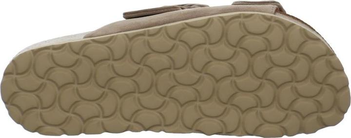 Actual product image Verbenas Rain (38)