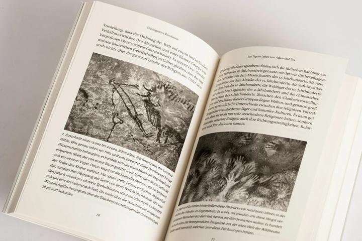 Actual product image Eine kurze Geschichte der Menschheit (German, Yuval Noah Harari, 2015)