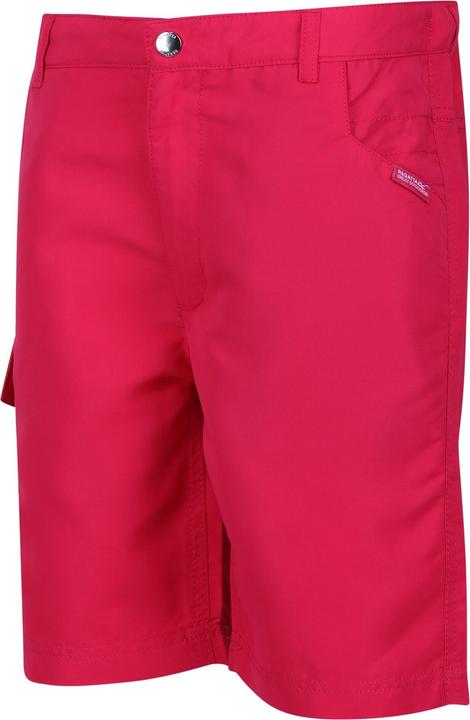 Actual product image Regatta Childrens/Kids Sorcer II Shorts (170)