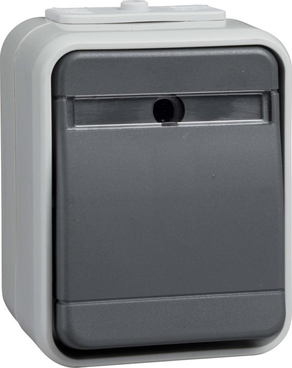 Immagine prodotto Schneider GmbH Pulsante 10A AquaTop grigio chiaro/basalto