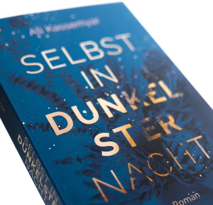 Produktbild Selbst in dunkelster Nacht (Deutsch, Ali Kassemyar, 2023)