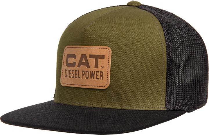 Cat Diesel Power (L)