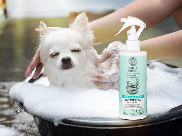 Image du produit Wilda Siberica après-shampooing ANTISTRESS, 5 l (5000 ml)