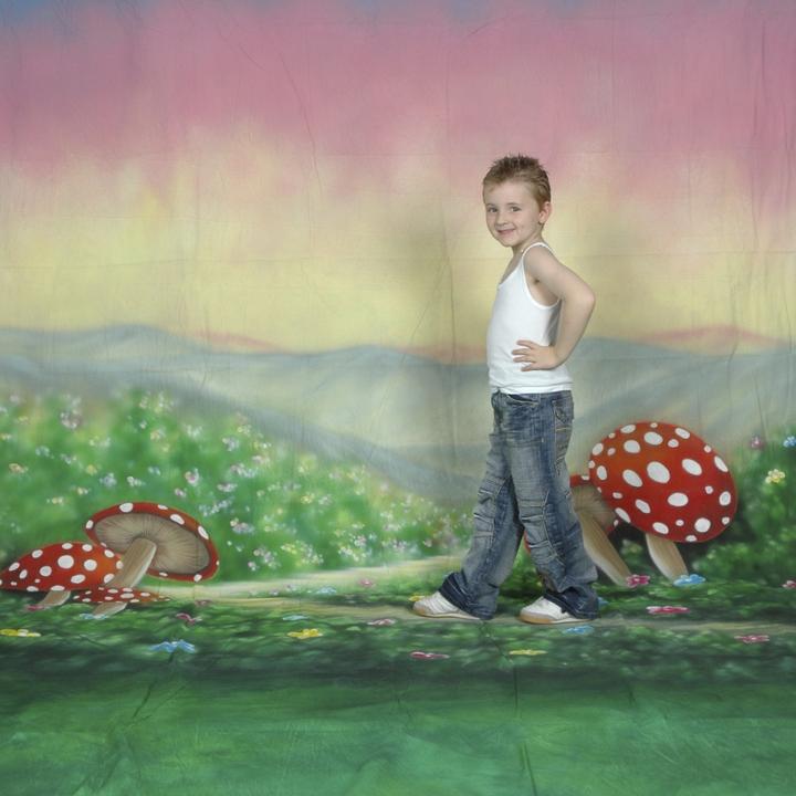 Walimex pro pro Motiv-Stoffhintergrund 'Alice' (300 cm, 600 cm)