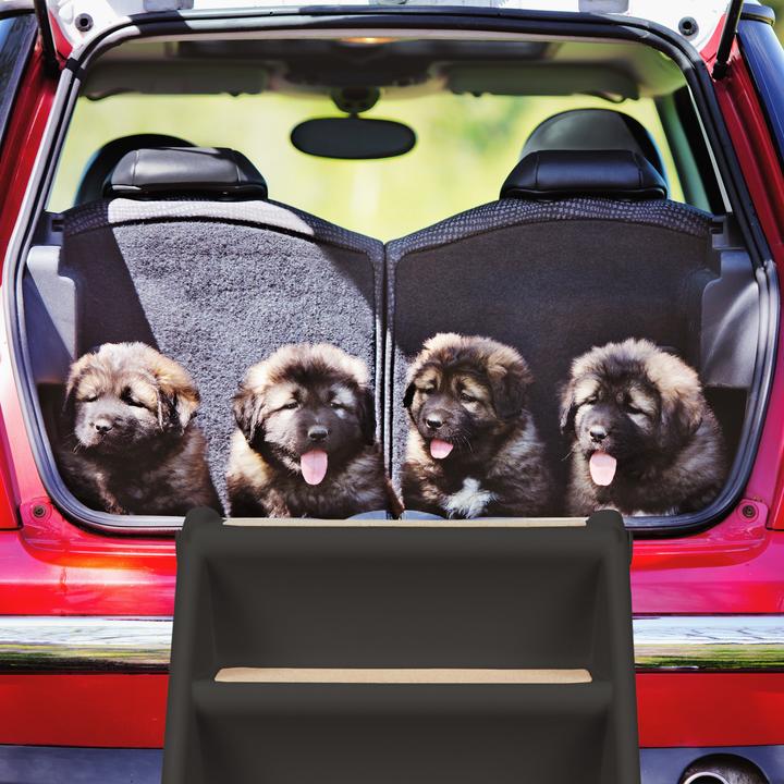Immagine prodotto Relaxdays Scale per cani (Cane, Pieghevole, Può essere aperto completamente)
