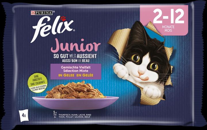 Felix Junior (Junior, 4 pz., 340 g)